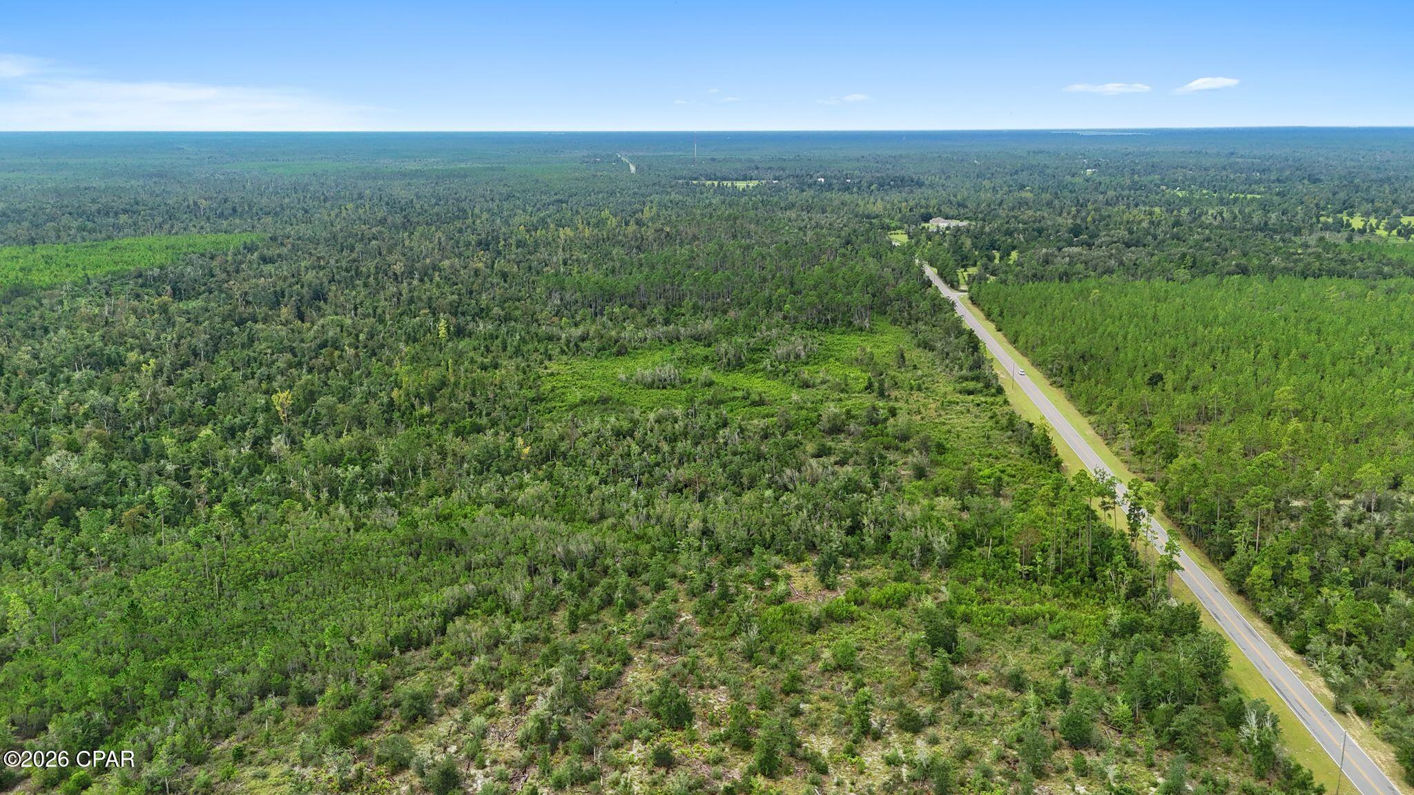 0 Blue Springs Road, Unit PARCEL 1 Youngstown, FL 32466 - Photo 15 of 15 Gallery Image 15