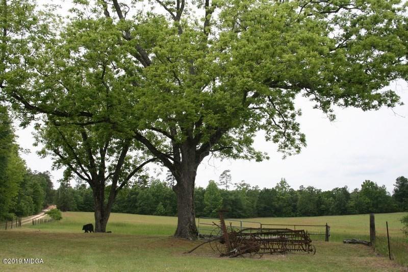 962 Durden Road Sandersville, GA 31082 - Photo 3 of 19 a view of a yard with a tree