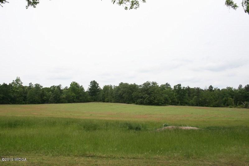 962 Durden Road Sandersville, GA 31082 - Photo 4 of 19 a view of a field with trees in the background