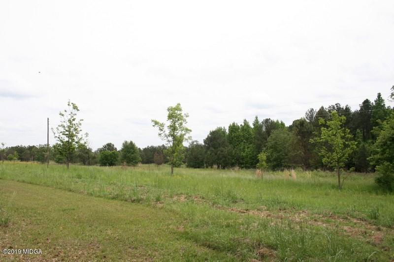 962 Durden Road Sandersville, GA 31082 - Photo 7 of 19 a view of a field with grass and trees