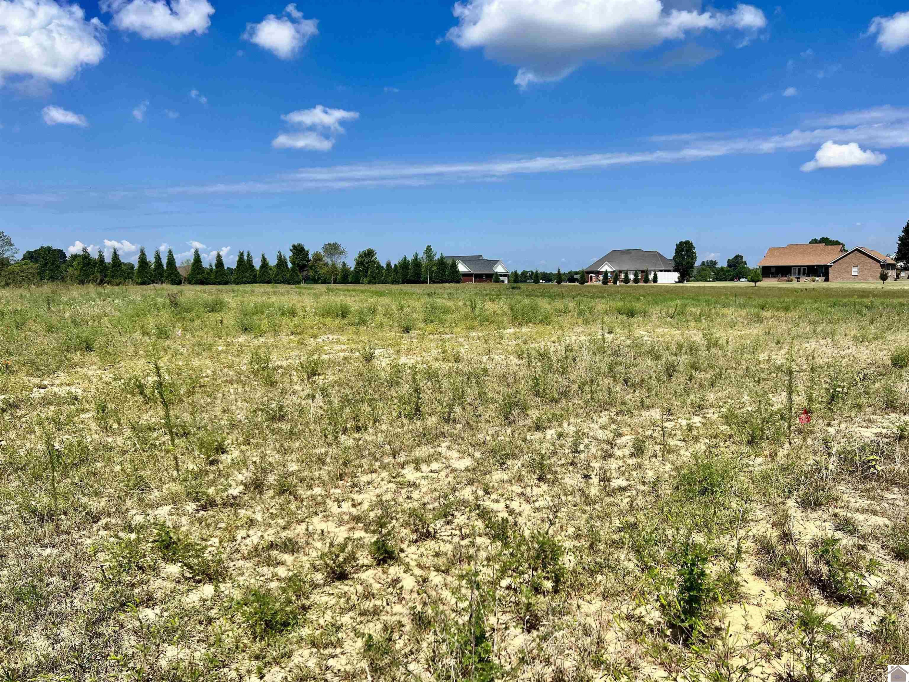 975 McKendree Church Road Kevil, KY 42053 - Photo 1 of 1 Photo 1