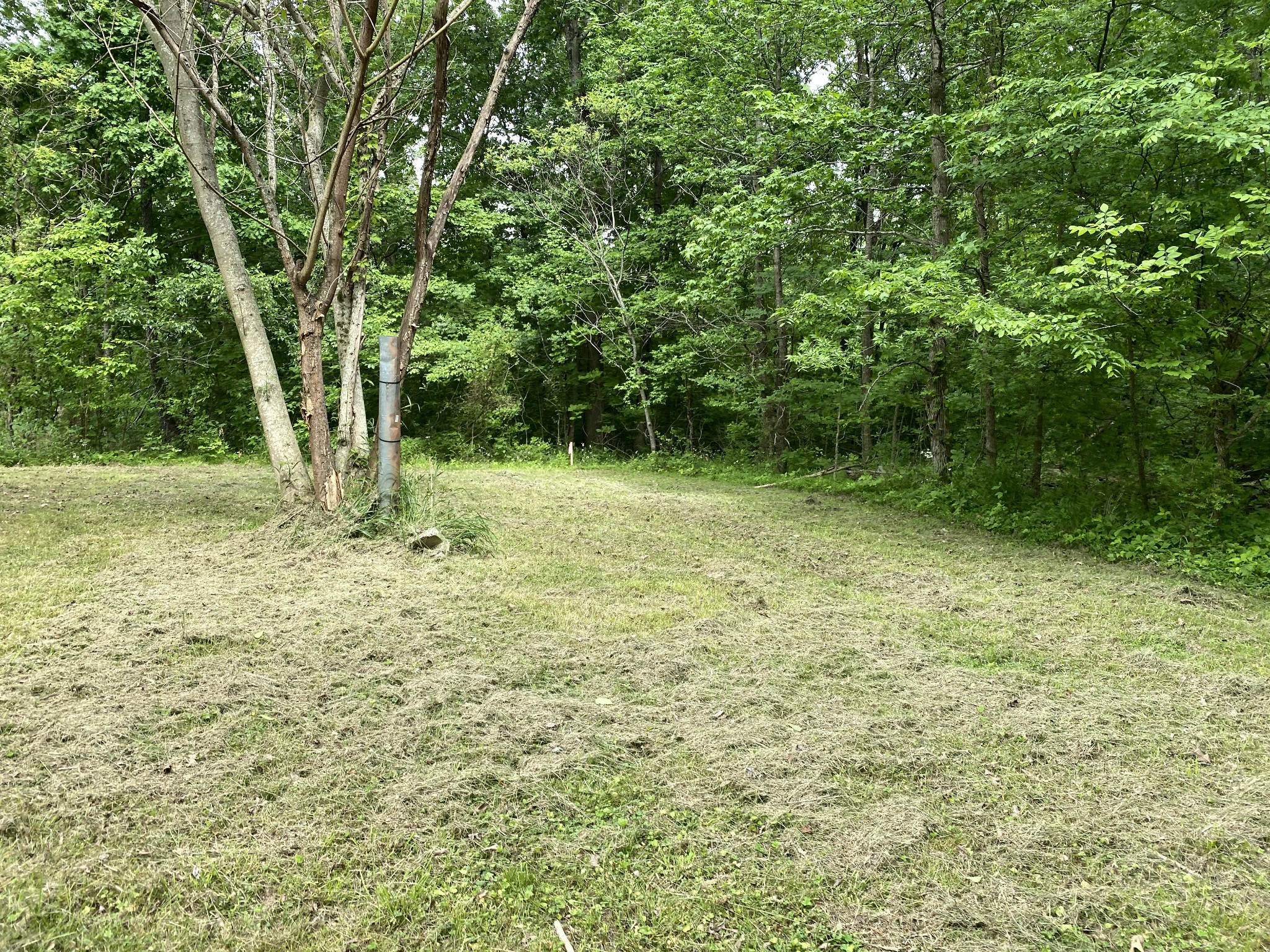 1839 Mosley Ferry Road Chapmansboro, TN 37035 - Photo 1 of 8 Gallery Image 1