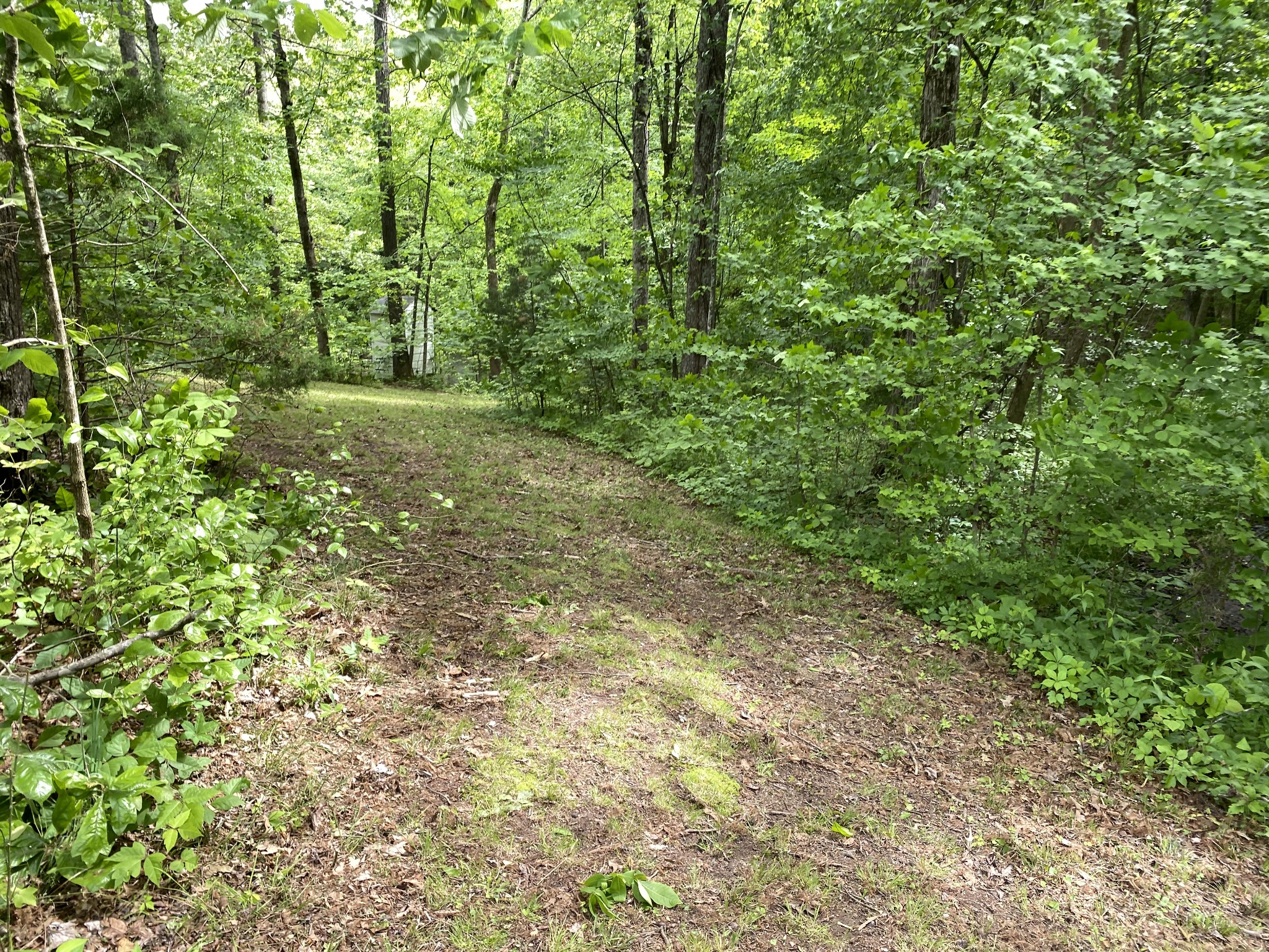 1839 Mosley Ferry Road Chapmansboro, TN 37035 - Photo 5 of 8 Gallery Image 5