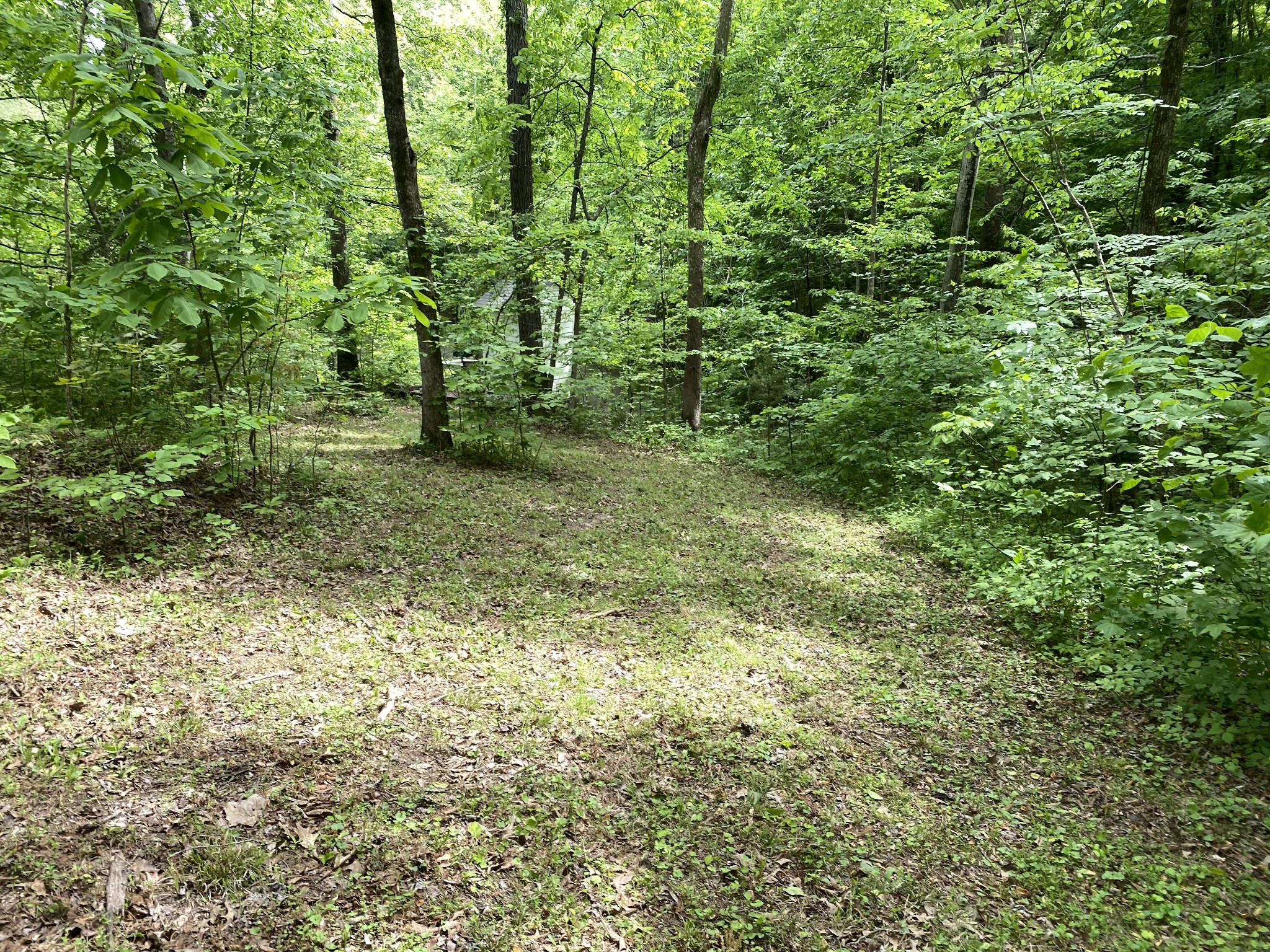 1839 Mosley Ferry Road Chapmansboro, TN 37035 - Photo 6 of 8 Gallery Image 6