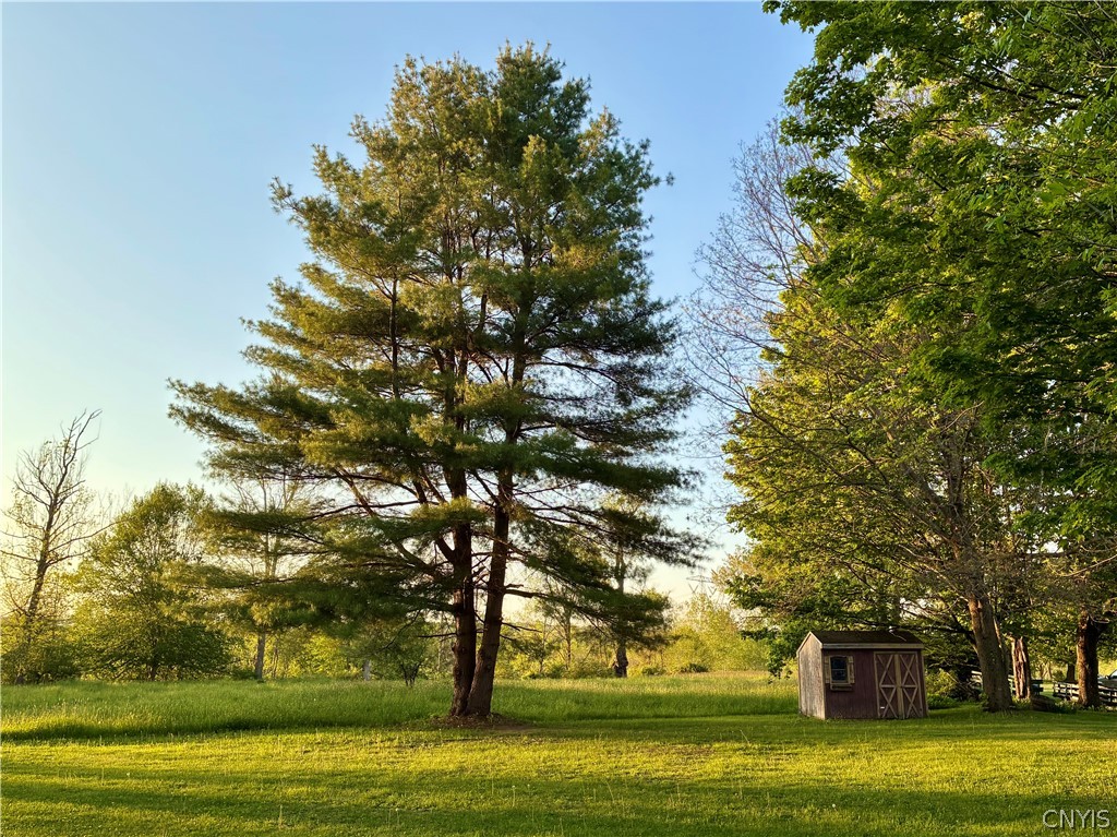 7495 Alvord Road Stittville, NY 13469 - Photo 4 of 28
