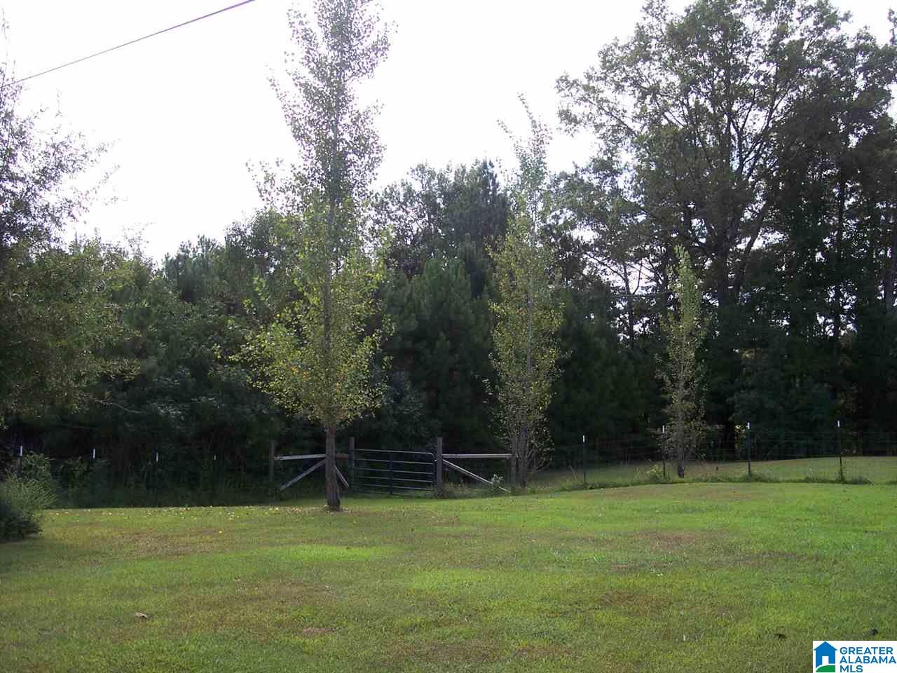 1561 Ross Lake Road Wellington, AL 36279 - Photo 38 of 50