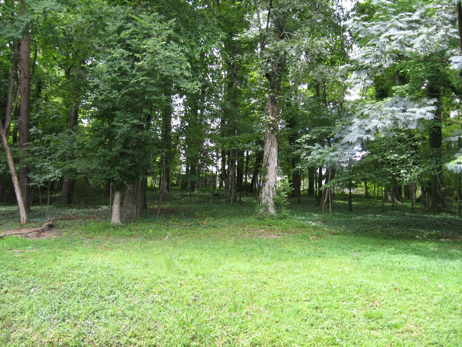 104 Taylor Road Oak Ridge, TN 37830 - Photo 19 of 21 1341