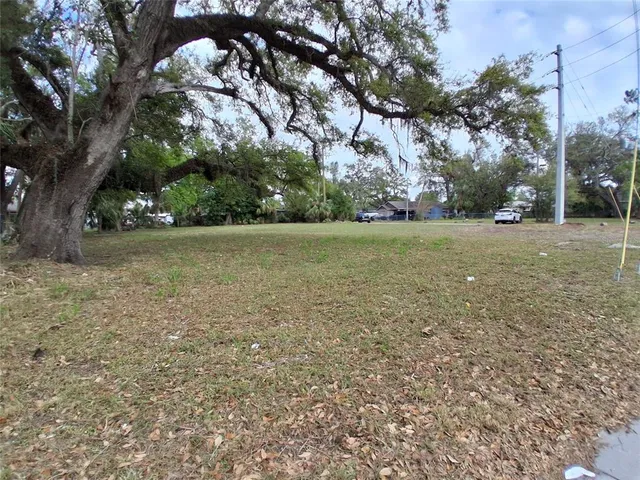 a backyard of a house with lots of trees