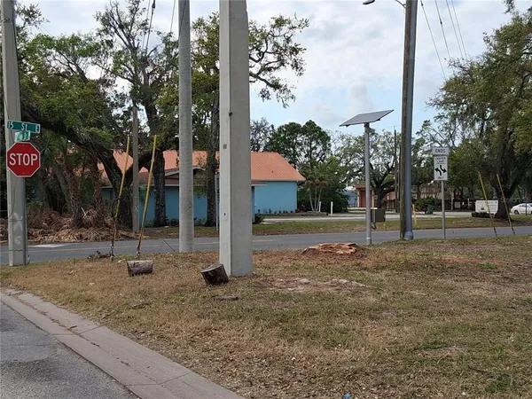 a view of a park with tree s