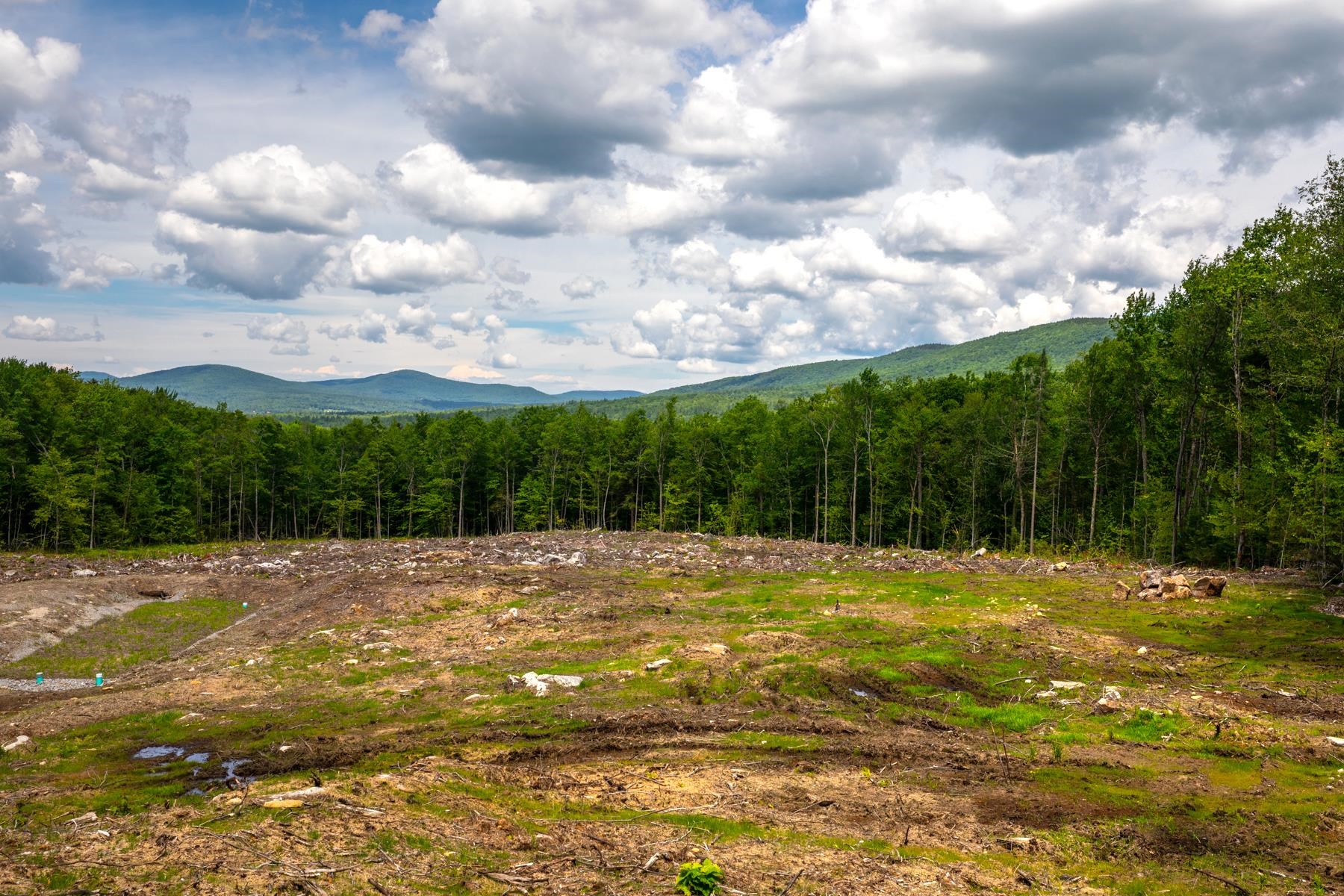0 Little Pond Road Andover, VT 05143 - Photo 4 of 16