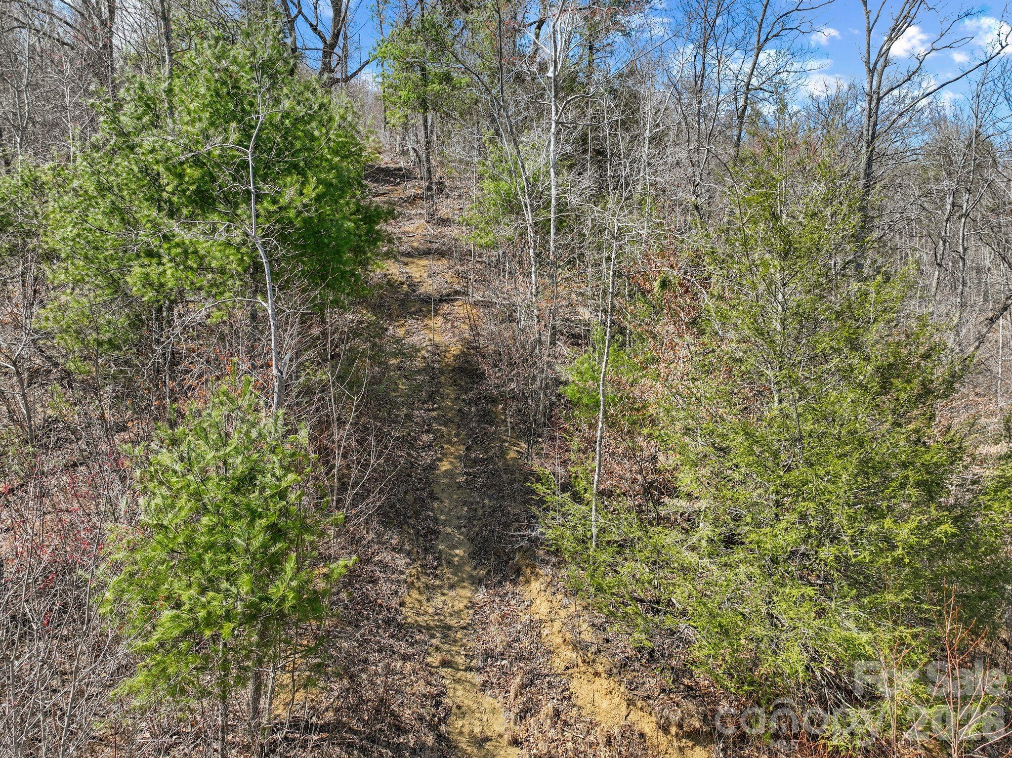 902 Spillcorn Road Marshall, NC 28753 - Photo 15 of 18 Gallery Image 15