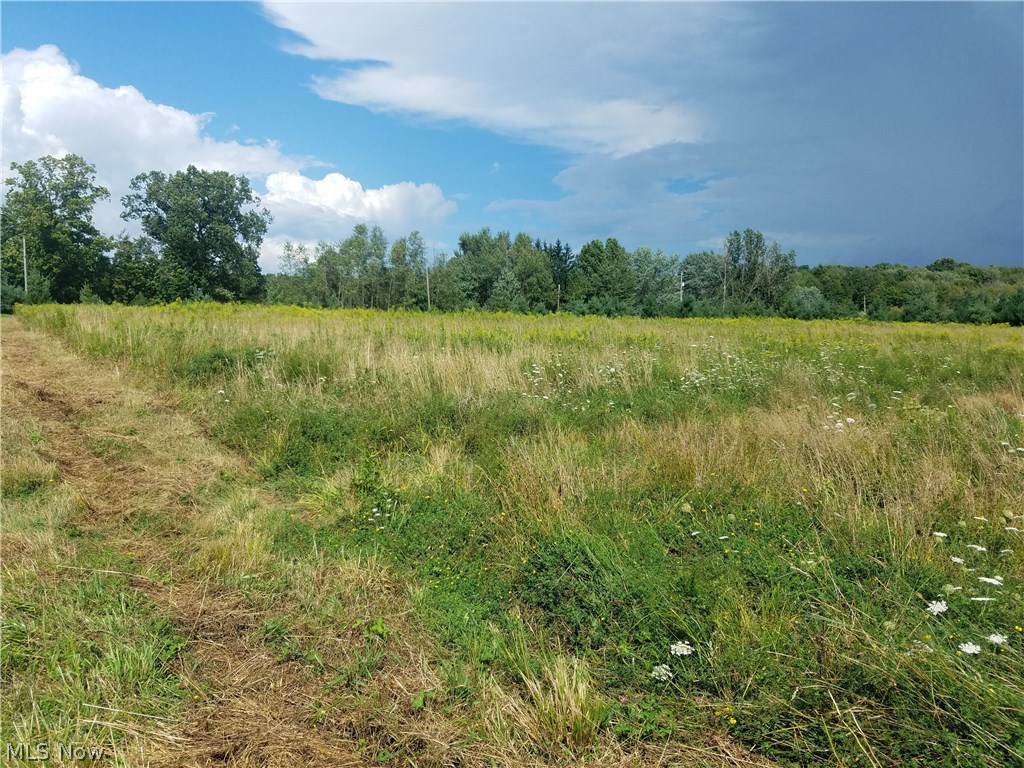 Maple Road East Jefferson, OH 44047 - Photo 11 of 13 Looking toward the road. Mowed path showing where the property line will be about after survey.