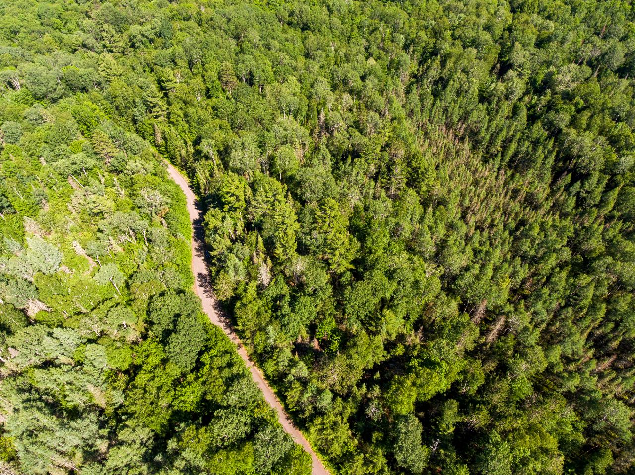 Lot 9 Moonshine Valley Road Presque Isle, WI 54557 - Photo 3 of 19 Gallery Image 3