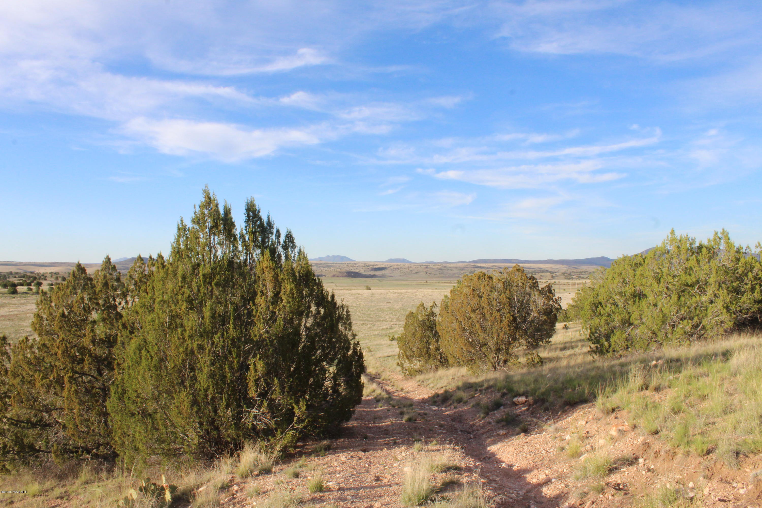 Lot 135 County Road Seligman, AZ 86337 - Photo 8 of 12 IMG_1882