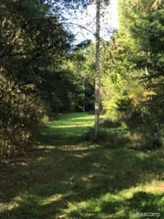 4923 Leix Road Mayville, MI 48744 - Photo 10 of 14