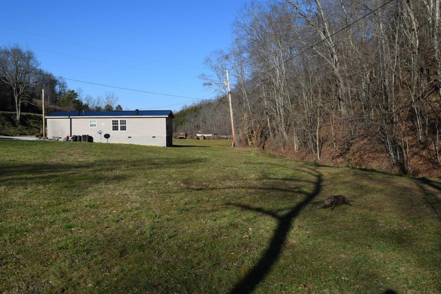 2049 Centerville Road West Liberty, KY 41472 - Photo 8 of 48 Photo 8