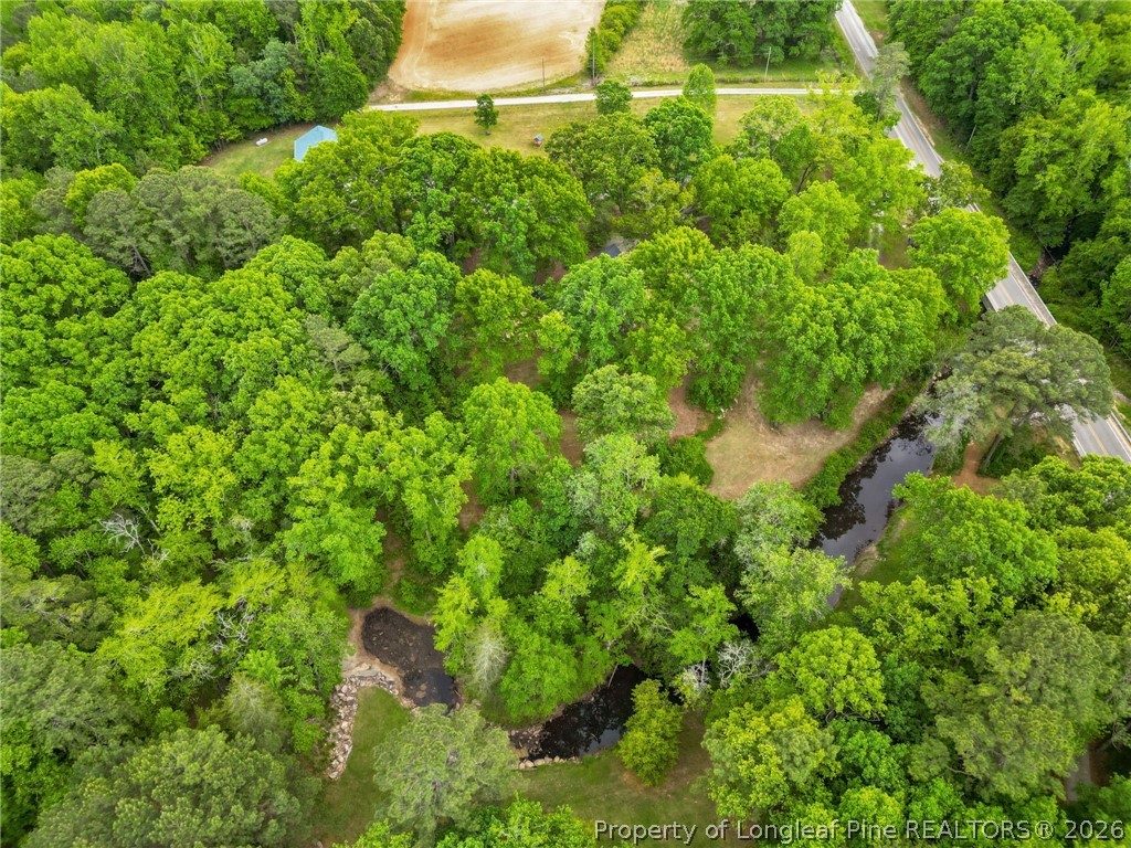751 Sheriff Watson Road Sanford, NC 27332 - Photo 41 of 43