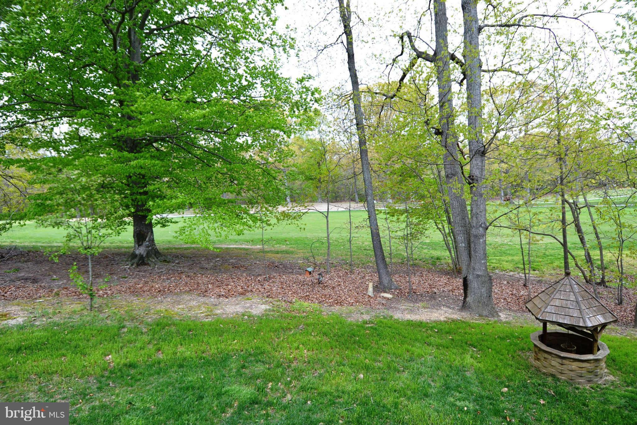 11317 Rawhide Road Lusby, MD 20657 - Photo 19 of 23 Backyard