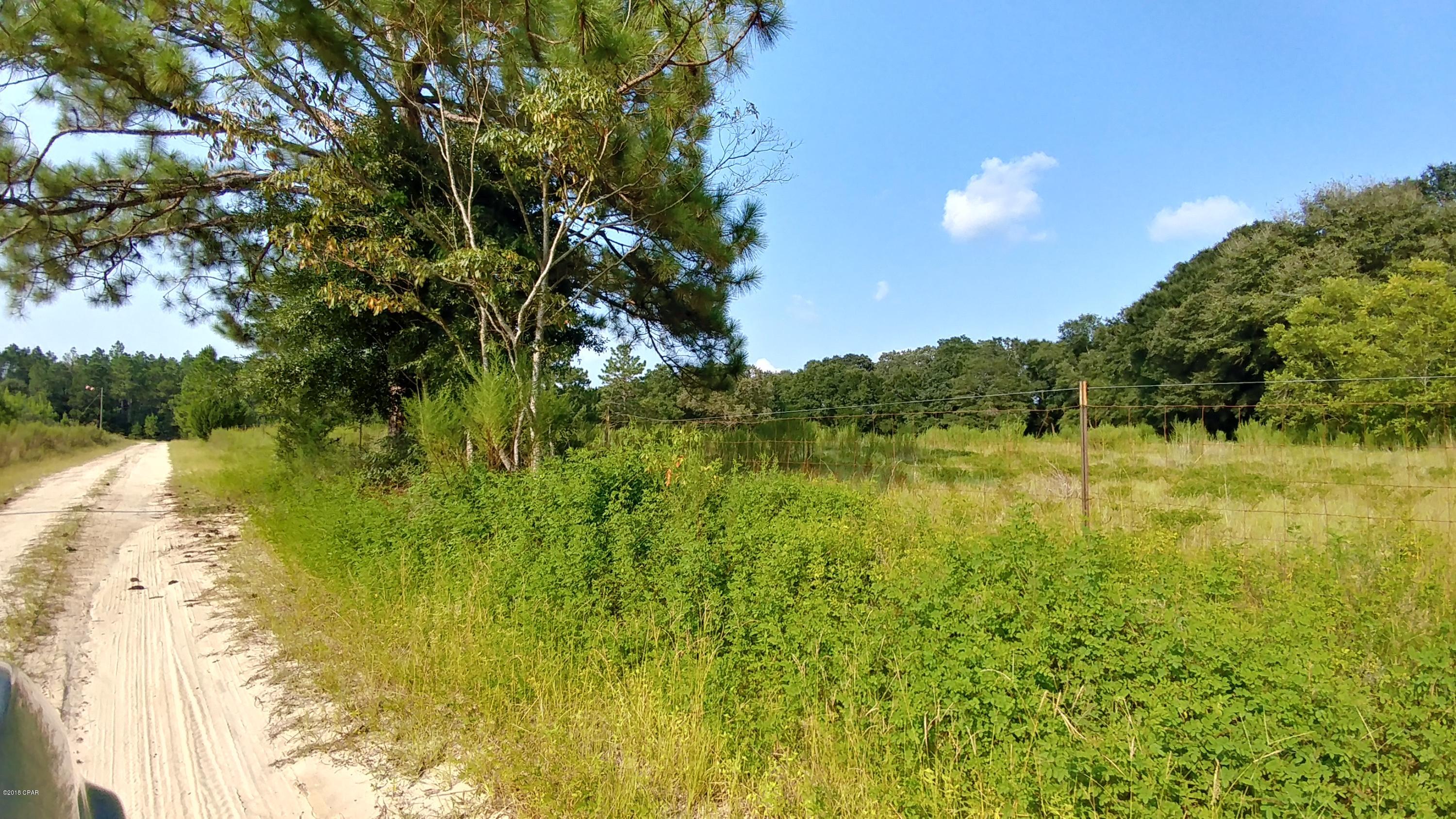 5946 Highway 2 Bascom, FL 32423 - Photo 25 of 27