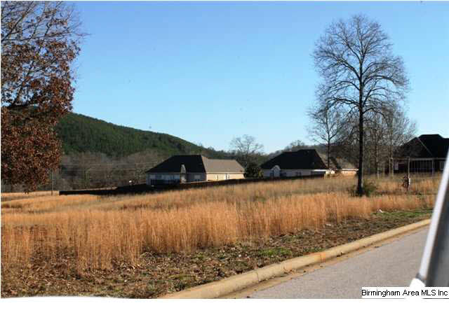 Mount Eagle Lane, Unit 2 Weaver, AL 36277 - Photo 26 of 26
