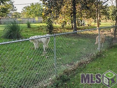 4207 Felix Lee Road Ethel, LA 70730 - Photo 9 of 13 Dogs love back yard