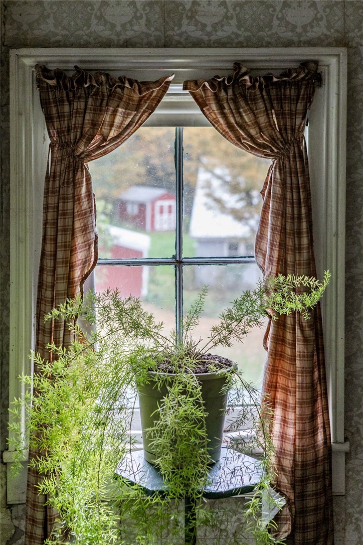 67 Fisk Road Bovina, NY 13753 - Photo 38 of 48 A classic multi-pane window overlooks the serene backyard scenery.