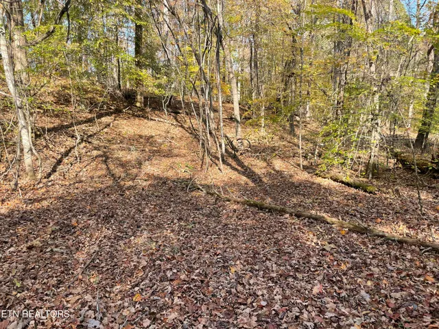 $100,000 | Creek Road, Knoxville, TN 37931