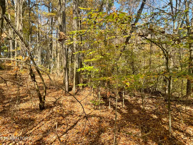 $100,000 | Creek Road, Knoxville, TN 37931