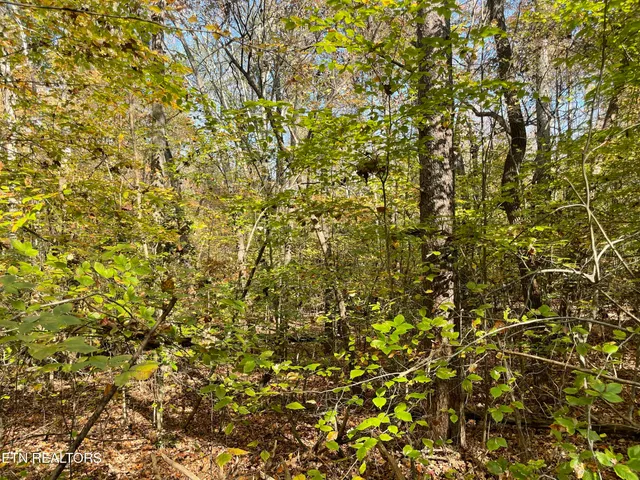 $100,000 | Creek Road, Knoxville, TN 37931