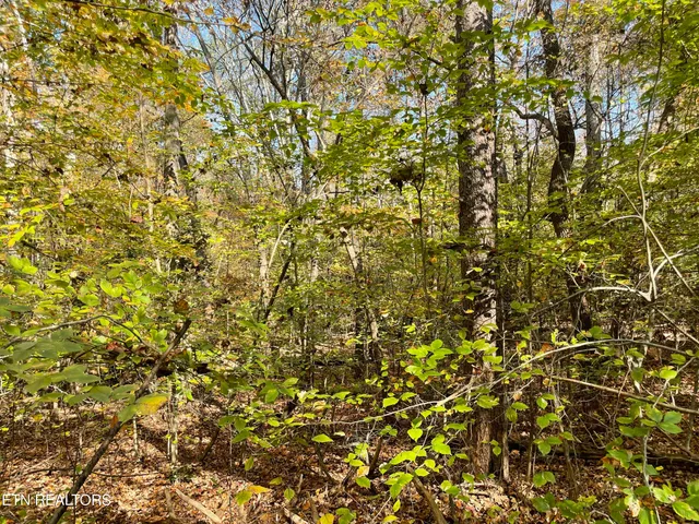 $100,000 | Creek Road, Knoxville, TN 37931