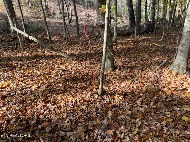 $100,000 | Creek Road, Knoxville, TN 37931