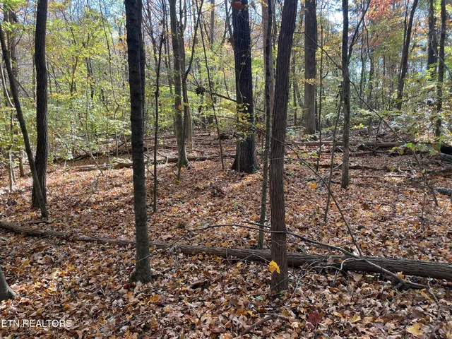 $100,000 | Creek Road, Knoxville, TN 37931