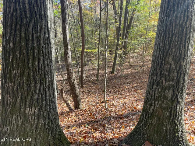 $100,000 | Creek Road, Knoxville, TN 37931