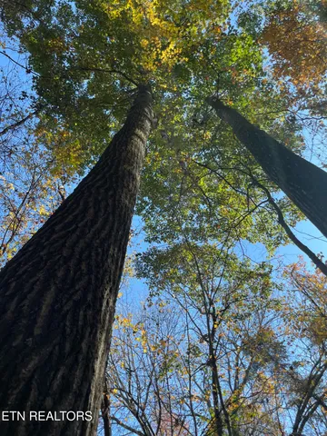 $100,000 | Creek Road, Knoxville, TN 37931