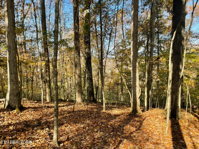 $100,000 | Creek Road, Knoxville, TN 37931