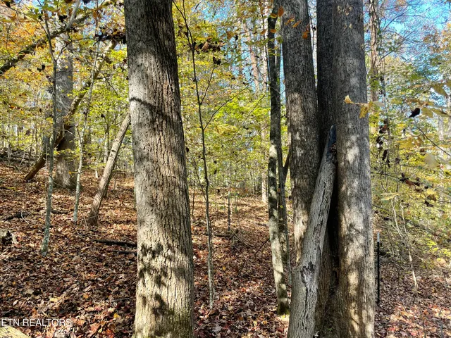 $100,000 | Creek Road, Knoxville, TN 37931