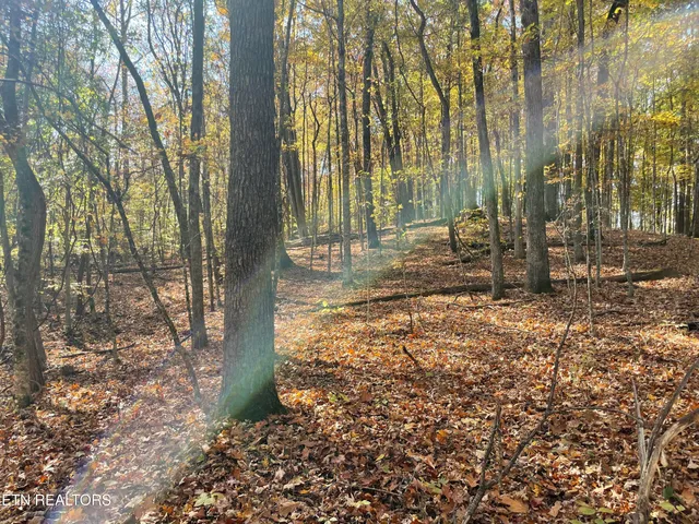 $100,000 | Creek Road, Knoxville, TN 37931