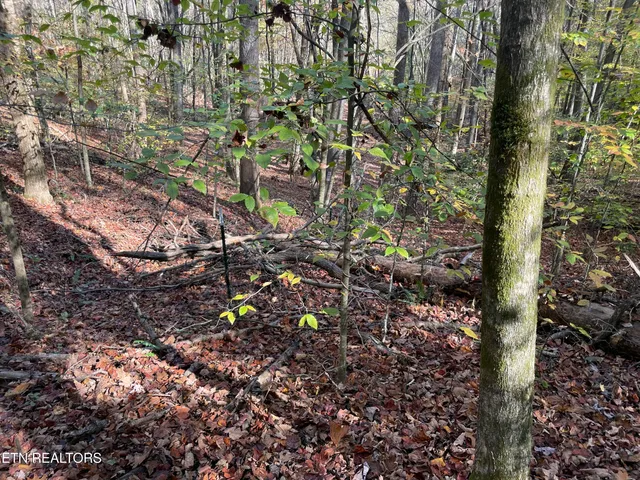 $100,000 | Creek Road, Knoxville, TN 37931