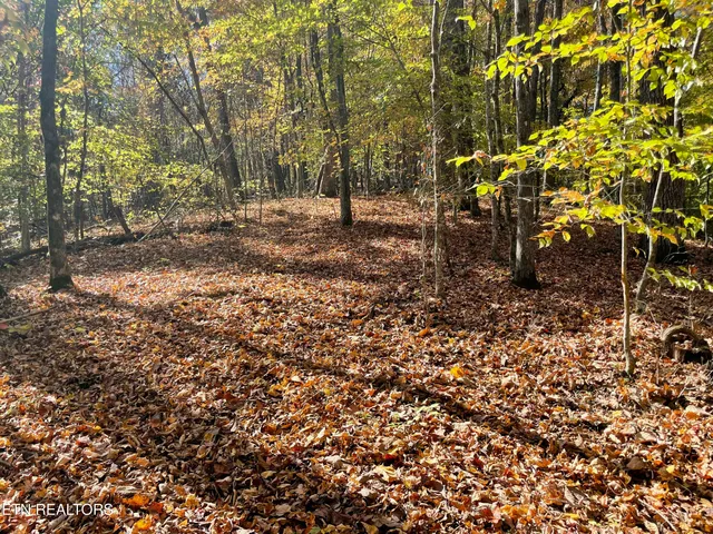 $100,000 | Creek Road, Knoxville, TN 37931