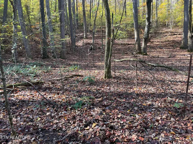 $100,000 | Creek Road, Knoxville, TN 37931
