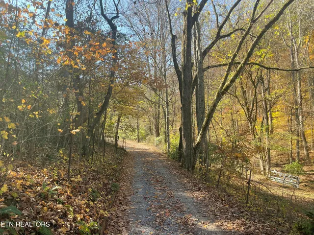 $100,000 | Creek Road, Knoxville, TN 37931