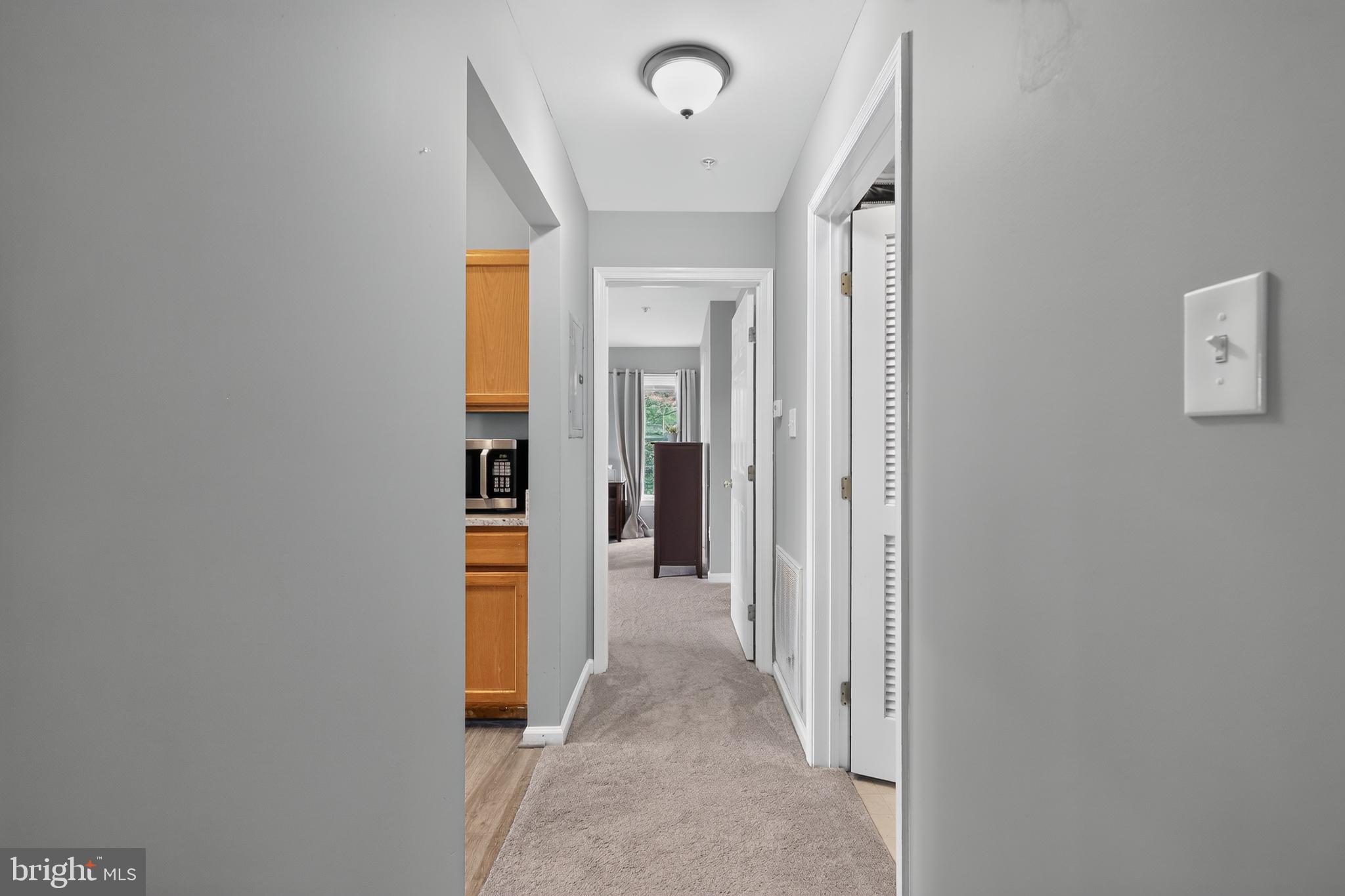 10100 Ridge Manor Terrace, Unit 5000L Damascus, MD 20872 - Photo 14 of 15 Inviting hallway with modern charm.
