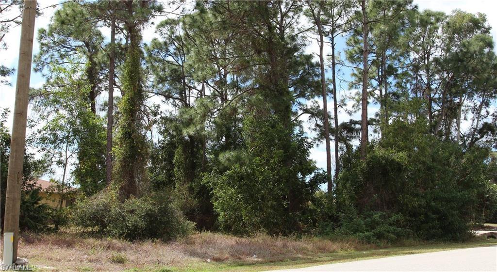 18205 Maple Road Fort Myers, FL 33967 - Photo 2 of 5 a view of a yard