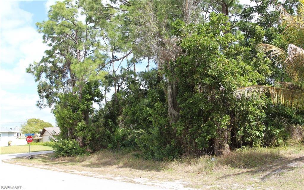 18205 Maple Road Fort Myers, FL 33967 - Photo 3 of 5 a backyard of a house with lots of green space