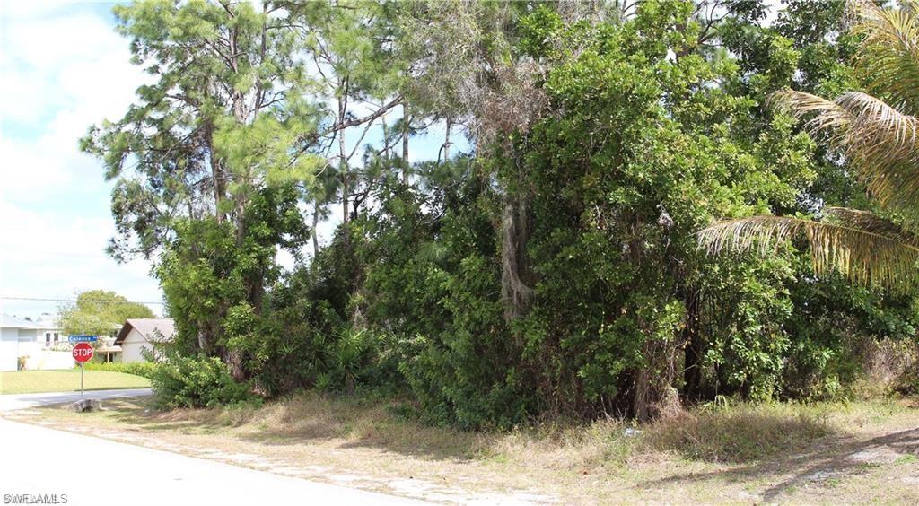 18205 Maple Road Fort Myers, FL 33967 - Photo 4 of 5 a view of a yard with plants and trees