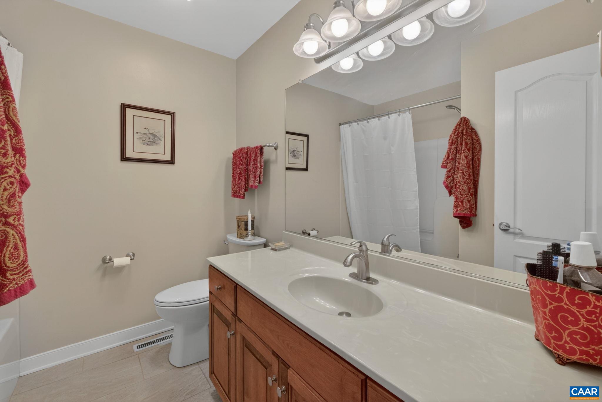 10 Locks Road Palmyra, VA 22963 - Photo 29 of 41