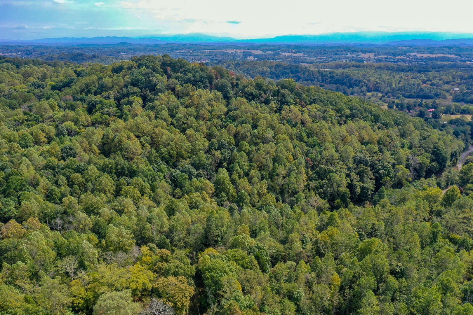 509 Red Ankle Road Sweetwater, TN 37874 - Photo 3 of 10 Gallery Image 3