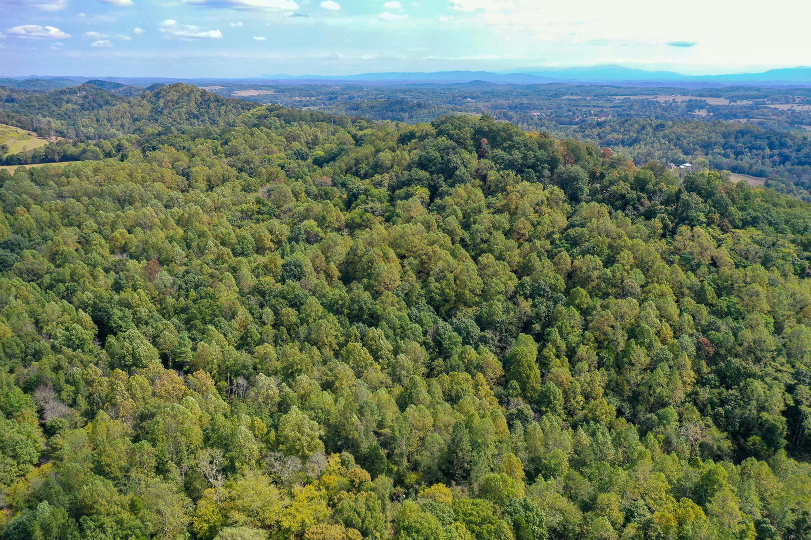 509 Red Ankle Road Sweetwater, TN 37874 - Photo 4 of 10 Gallery Image 4