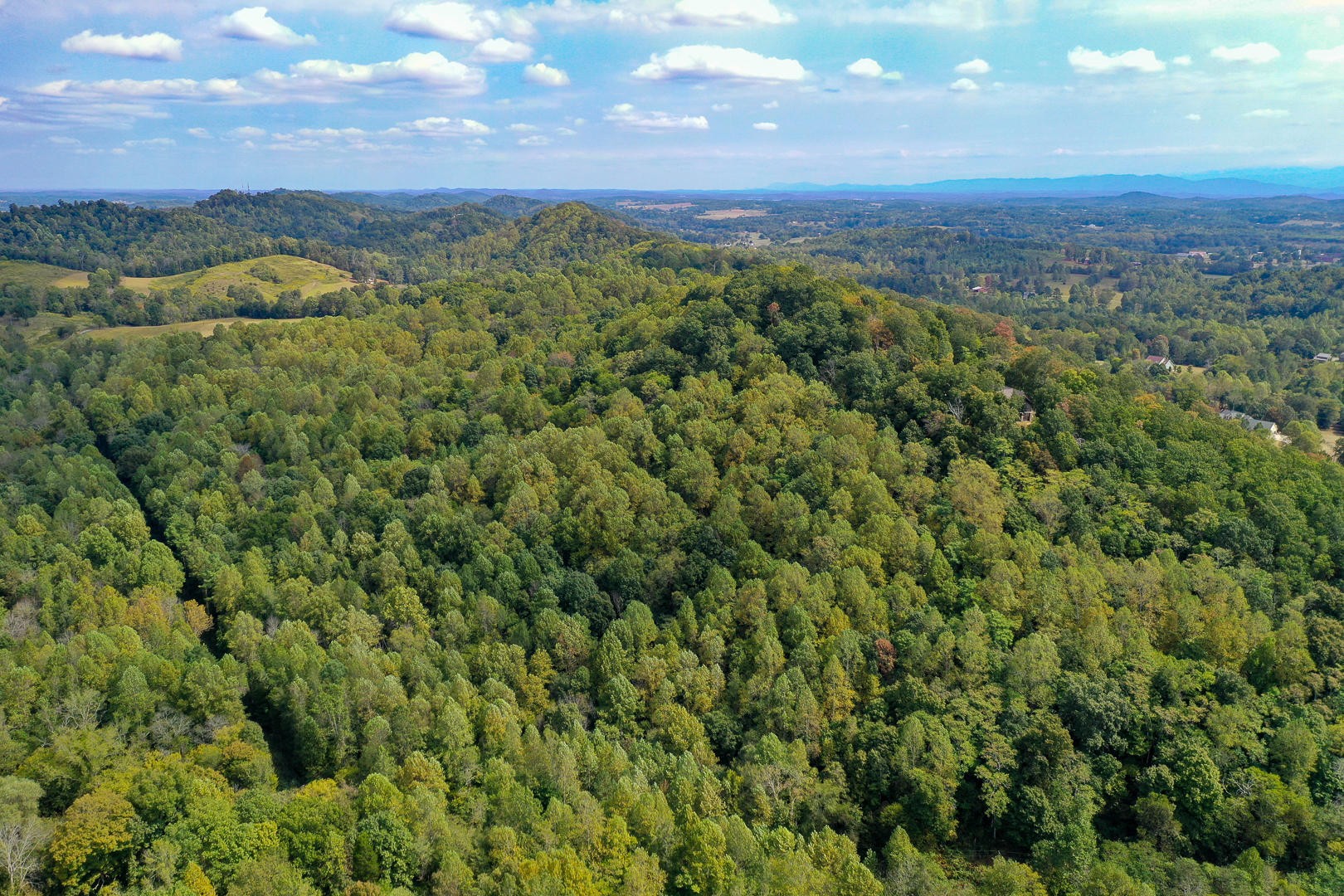 509 Red Ankle Road Sweetwater, TN 37874 - Photo 6 of 10 Gallery Image 6