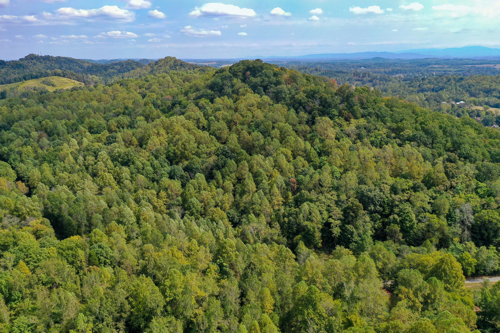 509 Red Ankle Road Sweetwater, TN 37874 - Photo 7 of 10 Gallery Image 7